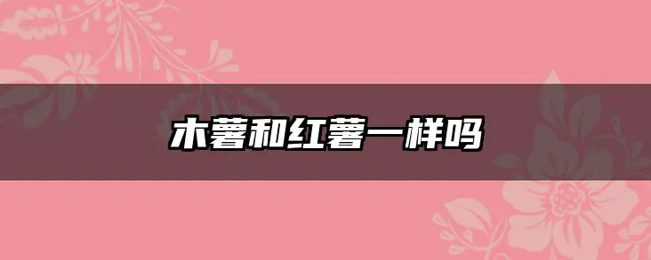 木薯和红薯一样吗