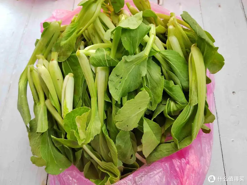 朋友圈晒婆婆送来的好东西，半个月不出门都饿不着，网友：真豪横