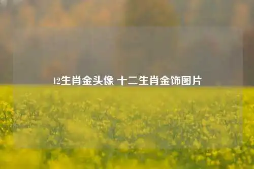 12生肖金头像 十二生肖金饰图片