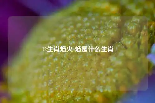 12生肖焰火 焰是什么生肖