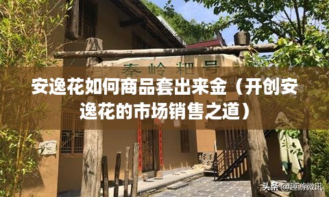 安逸花如何商品套出来金（开创安逸花的市场销售之道）