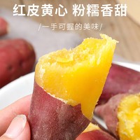 龙九蜜薯板栗红薯沙地蜜薯250g*3