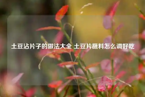土豆沾片子的做法大全 土豆片蘸料怎么调好吃