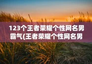 123个王者荣耀个性网名男霸气(王者荣耀个性网名男集锦)