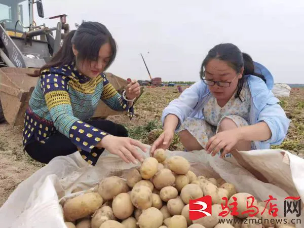 微信图片_20210610094918