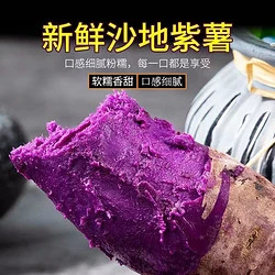 当季沙地紫薯新鲜紫罗兰紫薯4.7斤