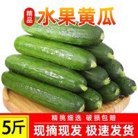 百亿补贴：水果小黄瓜新鲜 4.8斤