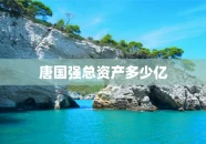 唐国强总资产多少亿