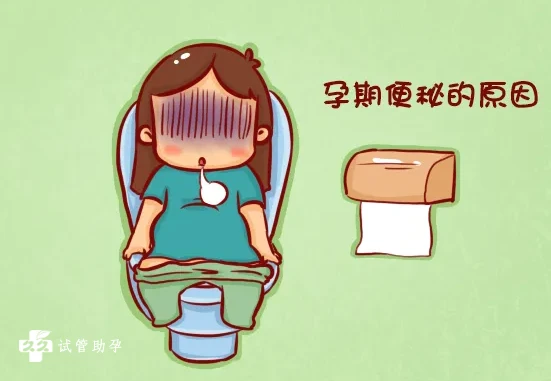 7R8b65DKV6pCEYnkSONh.png
