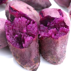 酷果汇 广西紫薯1.5斤大果 单果150g+