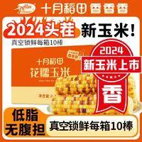 百亿补贴：SHI YUE DAO TIAN 十月稻田 五常花糯玉米 2.2kg 10根