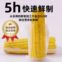 88VIP：野三坡 河北 白糯玉米 230g*8根