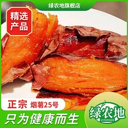 绿农地 新鲜烟熏25号5.8斤装红薯正宗烟薯紫薯西瓜红地瓜山芋蜜薯