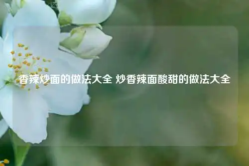 香辣炒面的做法大全 炒香辣面酸甜的做法大全