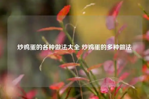 炒鸡蛋的各种做法大全 炒鸡蛋的多种做法
