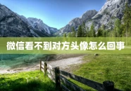 微信看不到对方头像怎么回事