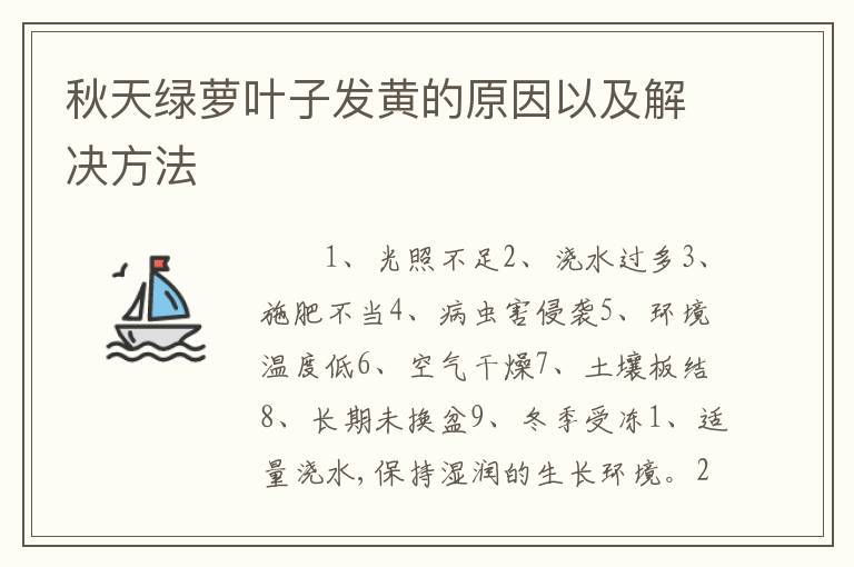 秋天绿萝叶子发黄的原因以及解决方法