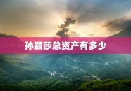 孙颖莎总资产有多少