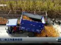 河南秋收工作基本结束