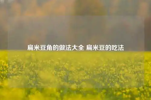 扁米豆角的做法大全 扁米豆的吃法