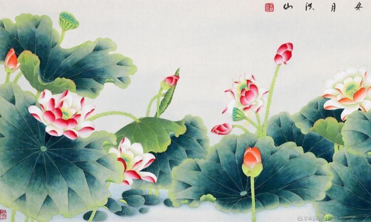 国画荷花有什么寓意