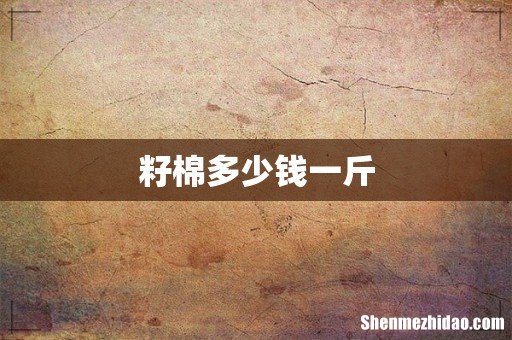 籽棉多少钱一斤