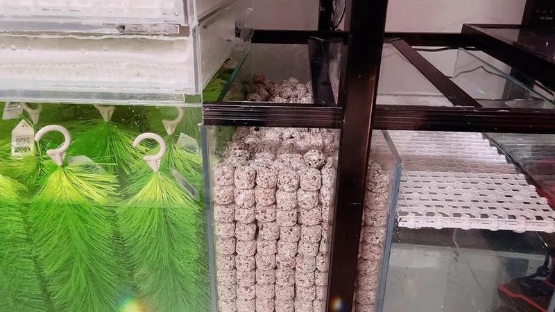 鱼缸放什么棉花过滤-墨子百科 鱼缸放什么棉花过滤
