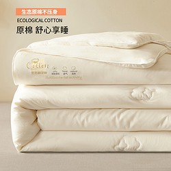 新疆棉花被加厚保暖冬被棉被