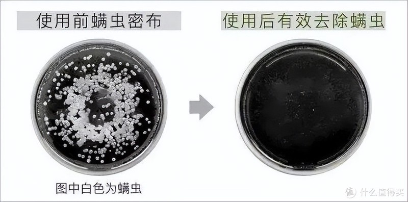 床单应该买“纯棉”还是“全棉”?销售员说漏嘴,庆幸我买对了!