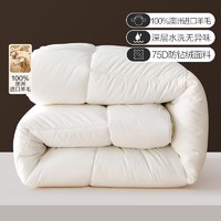 BLISS 百丽丝 澳洲进口羊毛被100%纯羊毛 冬被(200*230cm)