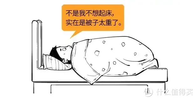 被子选购攻略!羽绒被应该如何选?聚酯纤维被值得买吗?桑蚕丝和柞蚕丝选哪个?超舒服的夏凉被推荐!