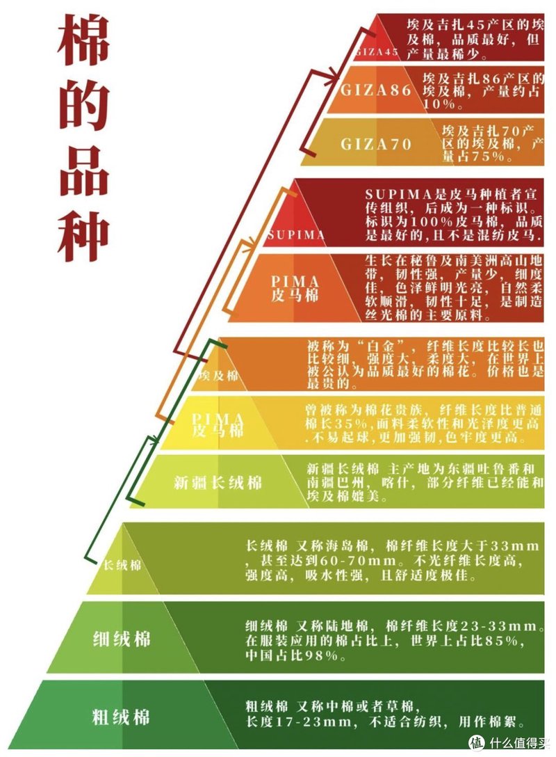 棉花种类天梯图