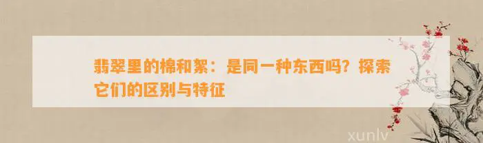 翡翠里的棉和絮：是同一种东西吗？探索它们的区别与特征