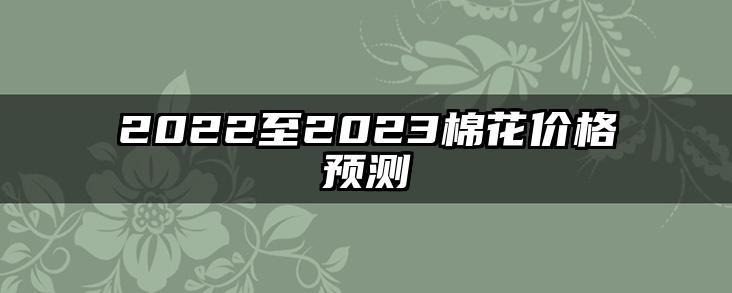2022至2023棉花价格预测