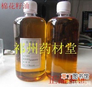 棉花籽油的功效与作用