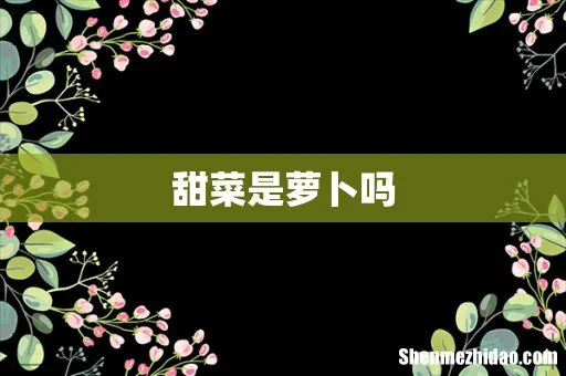 甜菜是萝卜吗