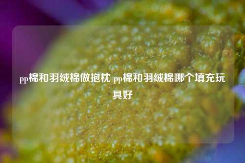 pp棉和羽绒棉做抱枕 pp棉和羽绒棉哪个填充玩具好