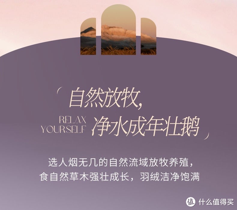 寒冷的冬季,我感觉羽绒被才是最好的御寒之物!盖着羽绒被,我可以睡个好觉!