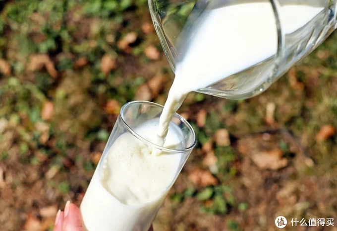 乳糖不耐受还想喝牛奶？这一篇无乳糖牛奶选购清单请收好！这16款牛奶让你喝到爽~