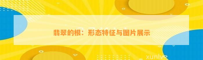 翡翠的根：形态特征与图片展示
