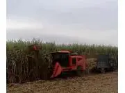 20年研发技术款甘蔗联合收割机