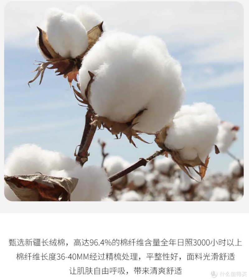 1688新疆棉全攻略!顶级毛巾品牌代工、五星级酒店供货商!这9家国货之光必须收藏!
