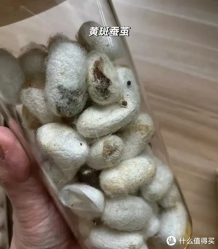 被子选购攻略!羽绒被应该如何选?聚酯纤维被值得买吗?桑蚕丝和柞蚕丝选哪个?超舒服的夏凉被推荐!