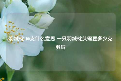 羽绒枕100支什么意思 一只羽绒枕头需要多少克羽绒