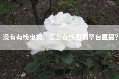 没有有线电视，怎么在线看翡翠台直播？