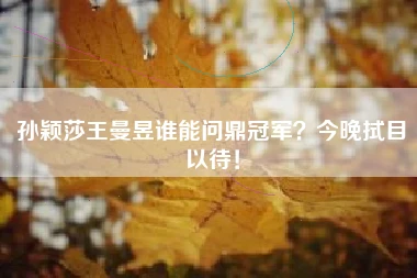 孙颖莎王曼昱谁能问鼎冠军？今晚拭目以待！