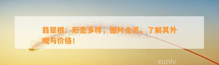 翡翠根：形态多样，图片全览。了解其外观与价格！
