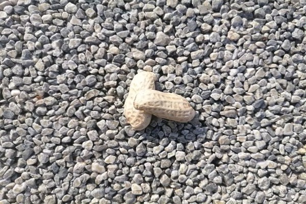 100斤棉花和100斤铁哪个重