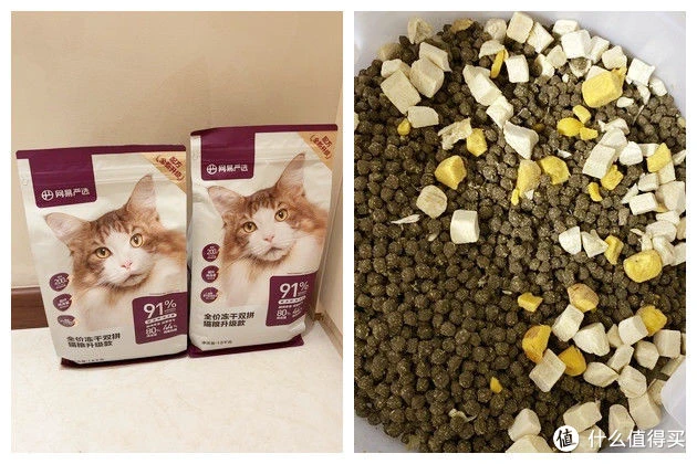 猫粮测评1丨猫粮什么牌子好？猫粮性价比推荐，深度猫粮测评分析