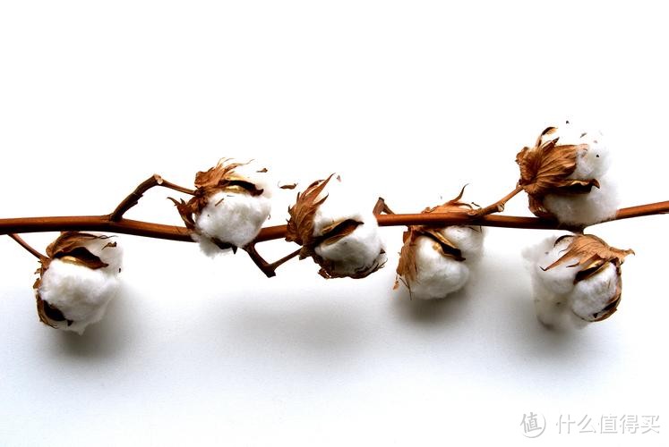 棉被以前是作为皇室专供?一篇文章带你了解棉被的发展史和如何挑选好棉被。